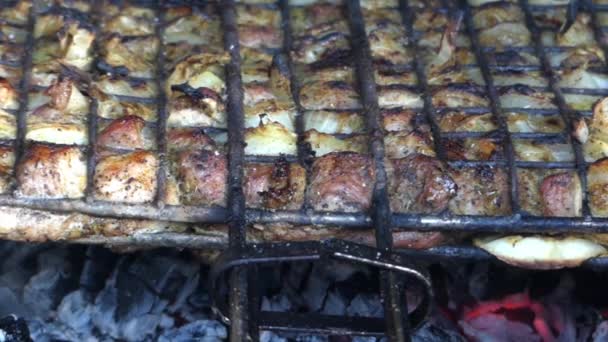 Madlavning kebab på grillen og på kullene . – Stock-video