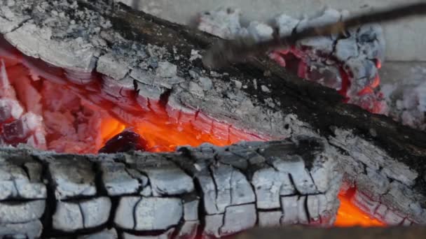 Trä brinner i en kamin. — Stockvideo