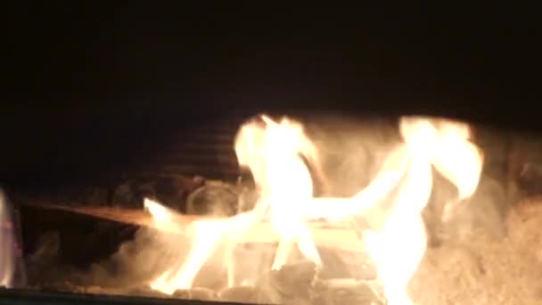 Η πυρκαγιά καίει στην εστία. Το χέρι ρίχνει τα αρχεία καταγραφής για να προσφέρει καλύτερη καύση. — Αρχείο Βίντεο