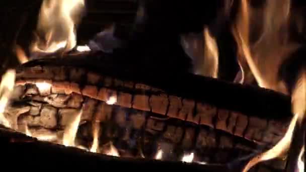 Un fuego en la chimenea. Tira el papel a la chimenea y enciéndelo. . — Vídeo de stock