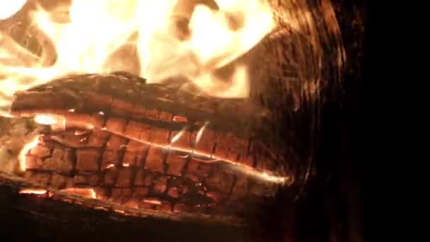 Loggar brinnande brasan bakom en glasdörr. — Stockvideo