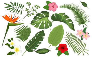 Metnin İçin Yer ile Tropikal Vektör İllüstrasyonu. Egzotik Bitkiler Arkaplanı, Yapraklı Çerçeve Tasarımı