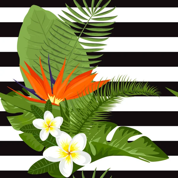 Collection Plantes Exotiques Illustrations Vectorielles Avec Feuilles Tropicales — Image vectorielle