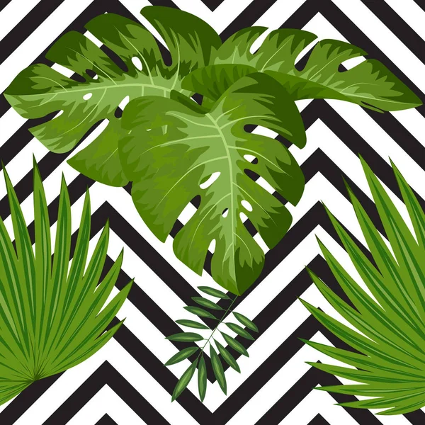 Colección Plantas Exóticas Ilustraciones Vectoriales Con Hojas Tropicales — Vector de stock