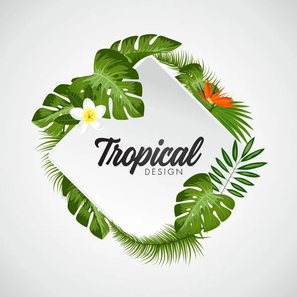 Ilustración Vectores Tropicales Con Lugar Para Texto Fondo Plantas Exóticas — Archivo Imágenes Vectoriales