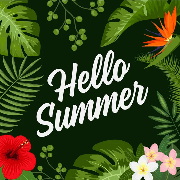 Hello Summer Typographic Vector Design — Stockový vektor