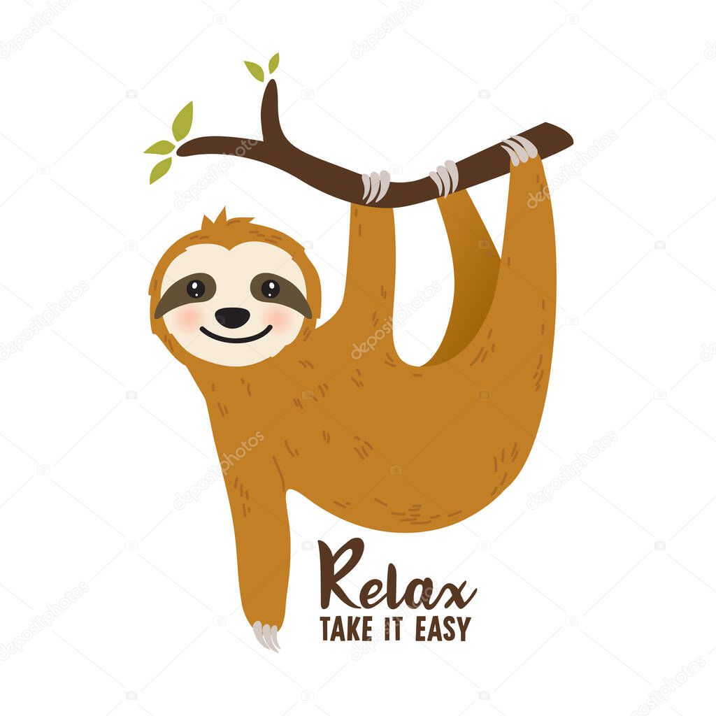 cute sloth vector illustration