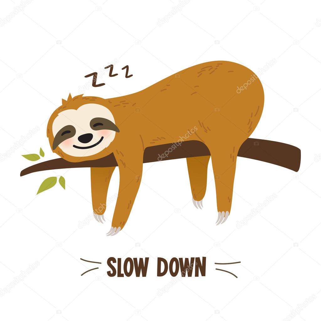 cute sloth vector illustration