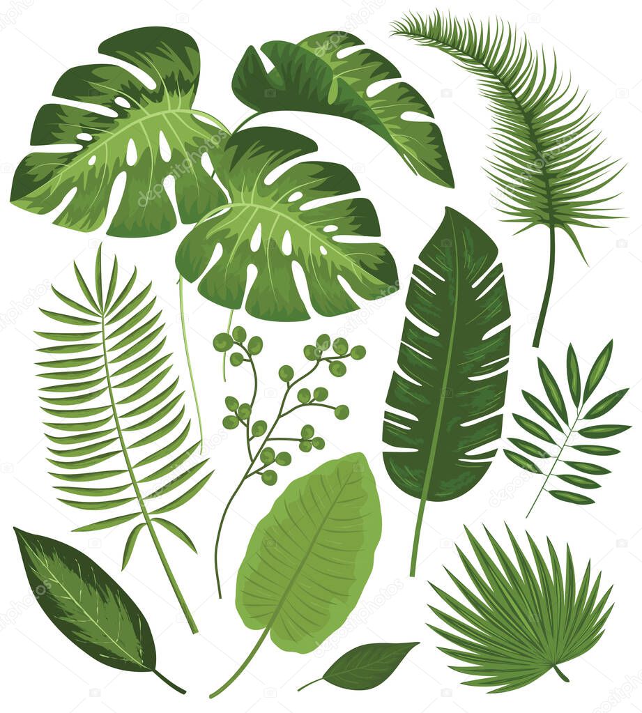 Tropical Vector Illustration with Place for Your Text. Exotic Plants Background, Frame Design with Leaves