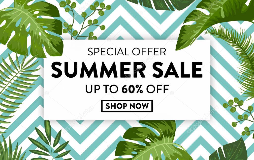Summer sale banner with exotic jungle plants, tropical exotic palm leaves with turquoise frame. Online summer sale ad template