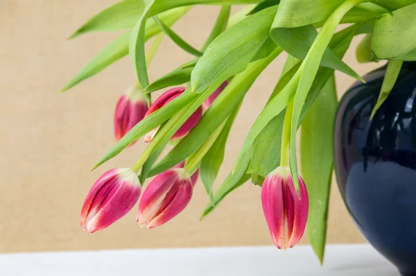 Florero de tulipanes rosados justificado — Foto de Stock