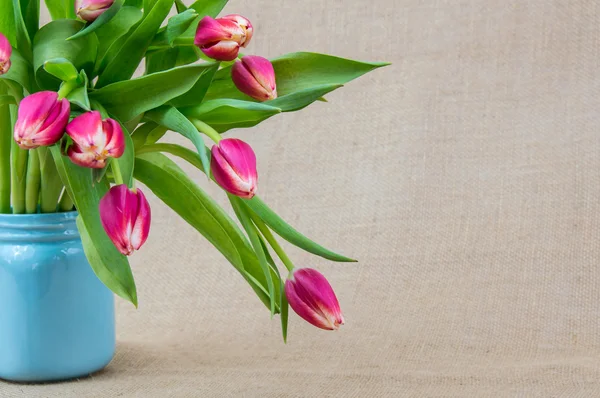Arreglo tulipán dejó justificación — Foto de Stock