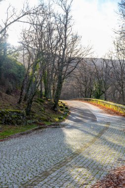 Bir taş yolun nerede bittiğinin dikey görüntüsü ve bir dağ yolu bir viraj ve ormanla başlar.