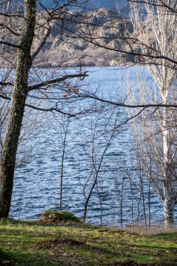 Ormandaki gölün dikey görüntüsü. Arka planda odaklanmamış bir dağ var.