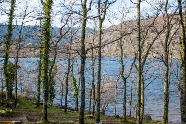 Arka planda dağlar olan bir ormanın içindeki gölün yatay görüntüsü.