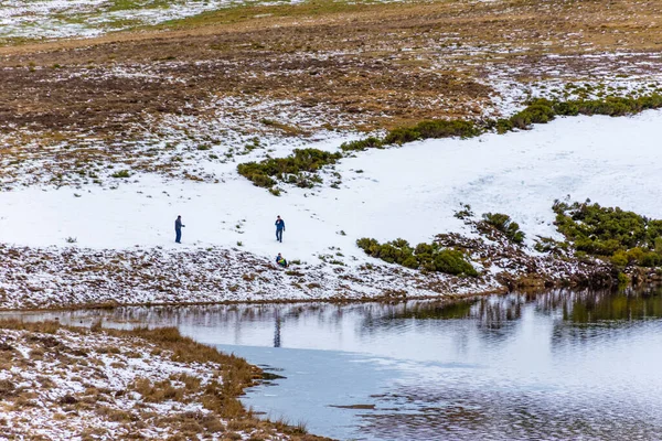 Familias Jugando Con Trineos Nieve Ladera Montaña Borde Lago — Foto de Stock