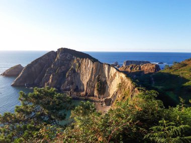 Gün batımında denize ve uçurumlara bakan doğal bir ağaç manzaralı fotoğraf. İspanya 'nın Asturias kentindeki Cantabrian Denizi kıyısında güneşli güzel bir gün..