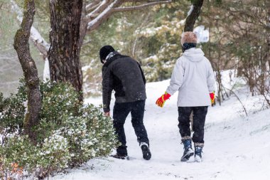 Karla kaplı ormanda yürüyen bir çift. Renklerin aksine. Ekstrem sporlar. Kışın çok soğuk bir kavram. Valorio ormanının karlı yatay görüntüsü