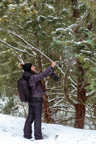 웃으며 오른손으로 오른손을 만지고 여성의 이미지는 얼어붙고 눈덮인 나무의 가지를 — 스톡 사진