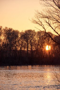 Güneşin ufukta battığı gün batımı siluetli ağaçların arasında, bir nehirle altın saat. Büyük Afrika güneşi. Çok sıcak renklere sahip doğa, dikey çekim.