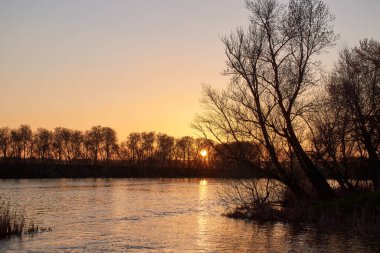 Güneşin ufukta battığı gün batımı siluetli ağaçların arasında, bir nehirle altın saat. Büyük Afrika güneşi. Çok sıcak renklere sahip doğa.