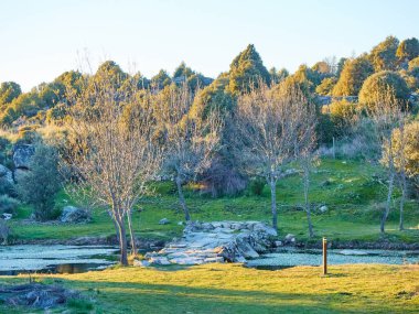 Baharda gün batımında bir nehir ve taş bir köprüyle açan bir ormanın yatay görüntüsü. Arribes del Duero 'dan yürüyüş rotası.