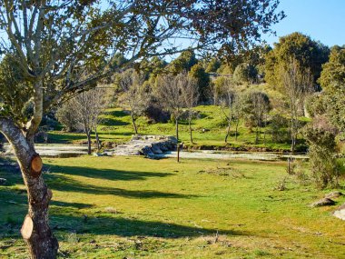 Baharda gün batımında bir nehir ve taş bir köprüyle açan bir ormanın yatay görüntüsü. Arribes del Duero 'dan yürüyüş rotası