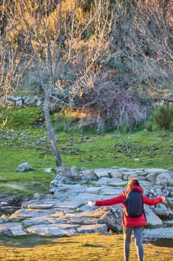 Kırmızı ceketli ve siyah sırt çantalı bir kadının dikey görüntüsü. Bahar çiçekli bir ormanda kolları açık. Gün batımında nehir ve taş bir köprüyle. Yürüyüş rotası