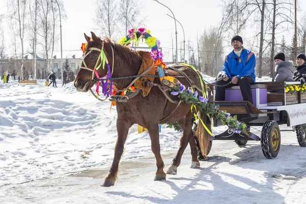 The horse harnessed by the cart is lucky people on the Russian h — Stock Photo, Image