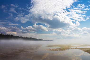 Bahar manzara Ob Sibirya Nehri üzerinde