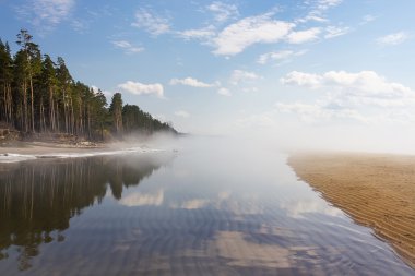 Bahar manzara Ob Sibirya Nehri üzerinde