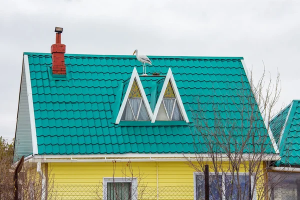 Rússia Sibéria Região Novosibirsk Berdsk Abril 2016 Casa Campo Com — Fotografia de Stock
