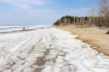 Bahar manzara Sibirya Nehri üzerinde