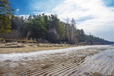 Bahar manzara Sibirya Nehri üzerinde