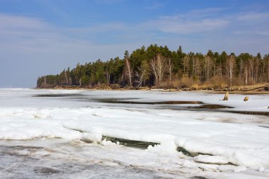 Bahar manzara Sibirya Nehri üzerinde