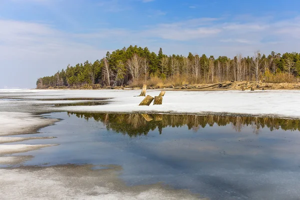 Paisaje de primavera en el río Siberiano —  Fotos de Stock