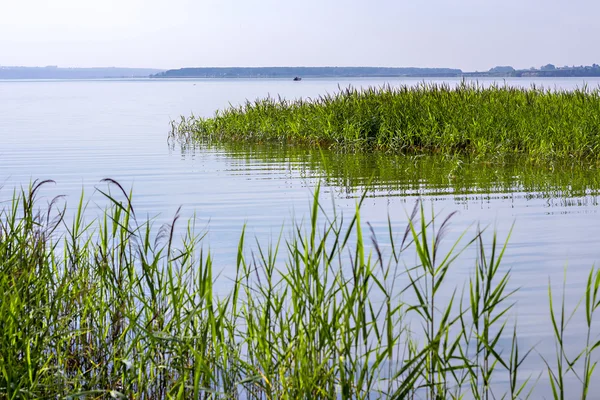 Yaz manzara nehir üzerinde