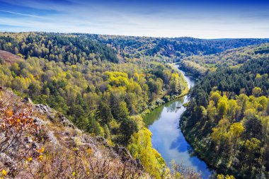 Sonbahar manzara. Berd, Sibirya nehirden kaya görünümünü