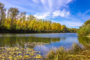 Sibirya nehir Berd Güz
