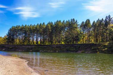 Sibirya nehir Berd Güz