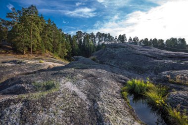 Turochak köyünün cazibesi aşk taşıdır. Turochaksky ilçesi, Altai Cumhuriyeti, Batı Sibirya 'nın güneyi, Rusya
