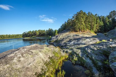 Biya nehrinin kıyısındaki aşk taşının manzarası. Turochak köyü, Turochaksky bölgesi, Altai Cumhuriyeti, Batı Sibirya 'nın güneyi, Rusya