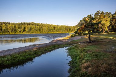 Turochak köyünün yakınlarındaki Biya Nehri manzarası. Turochaksky bölgesi, Altai Cumhuriyeti, Batı Sibirya 'nın güneyi, Rusya