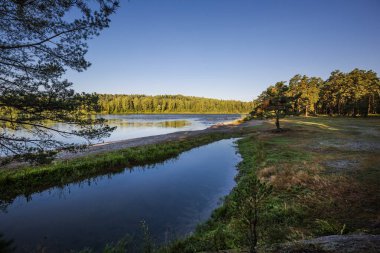 Turochak köyünün yakınlarındaki Biya Nehri manzarası. Turochaksky bölgesi, Altai Cumhuriyeti, Batı Sibirya 'nın güneyi, Rusya