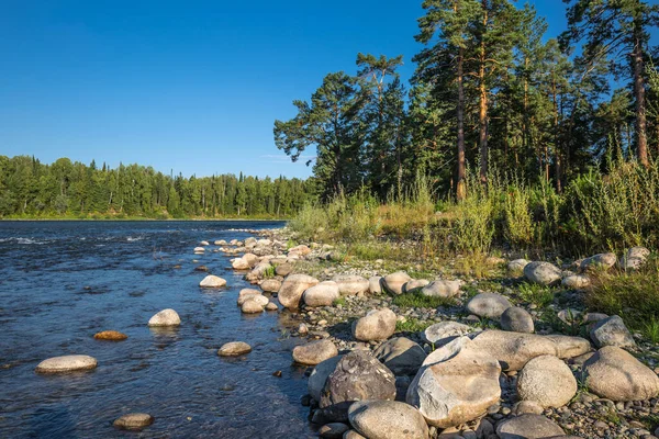 View Biya River Summer Village Turochak Turochaksky District Altai Republic — Stock Photo, Image