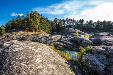 Nehrin kenarındaki kayalıklarda çam ormanı. Turochaksky bölgesi, Altai Cumhuriyeti, Batı Sibirya 'nın güneyi, Rusya