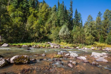 Sibirya taygası ile çevrili taştan yarıkları olan Iogach nehri. Turochaksky bölgesi, Batı Sibirya 'nın güneyi, Altai Cumhuriyeti, Rusya