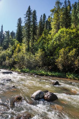 Sibirya taygası ile çevrili taştan yarıkları olan Iogach nehri. Turochaksky bölgesi, Batı Sibirya 'nın güneyi, Altai Cumhuriyeti, Rusya