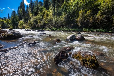 Sibirya taygası ile çevrili taştan yarıkları olan Iogach nehri. Turochaksky bölgesi, Batı Sibirya 'nın güneyi, Altai Cumhuriyeti, Rusya