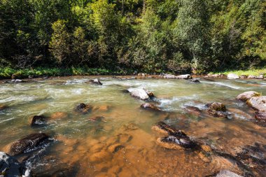 Sibirya taygası ile çevrili taştan yarıkları olan Iogach nehri. Turochaksky bölgesi, Batı Sibirya 'nın güneyi, Altai Cumhuriyeti, Rusya